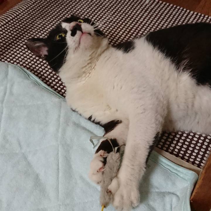 161cb4c4 4869 4631 8c7d e295bbcd8aa6 1535798570755