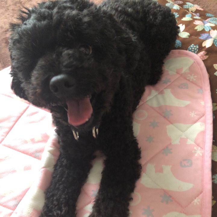 161cc46b b777 4ec9 8cfe d52e1b16848d 1563675605545