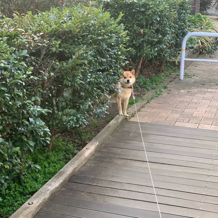 161ccfe3 3616 4e59 8a5b c71f39294b6c 1772358950169