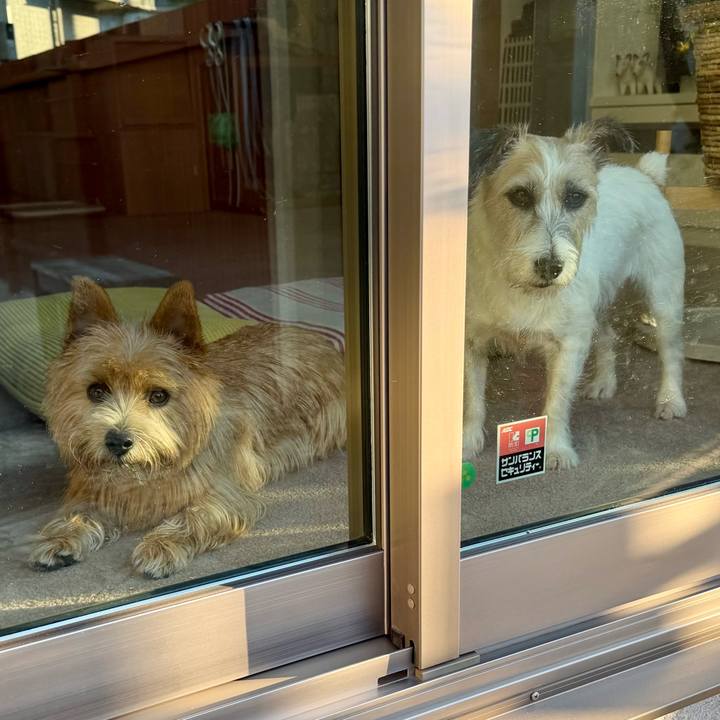 161cd383 c0c5 4133 b0e7 a0094de62efa 1762505087481