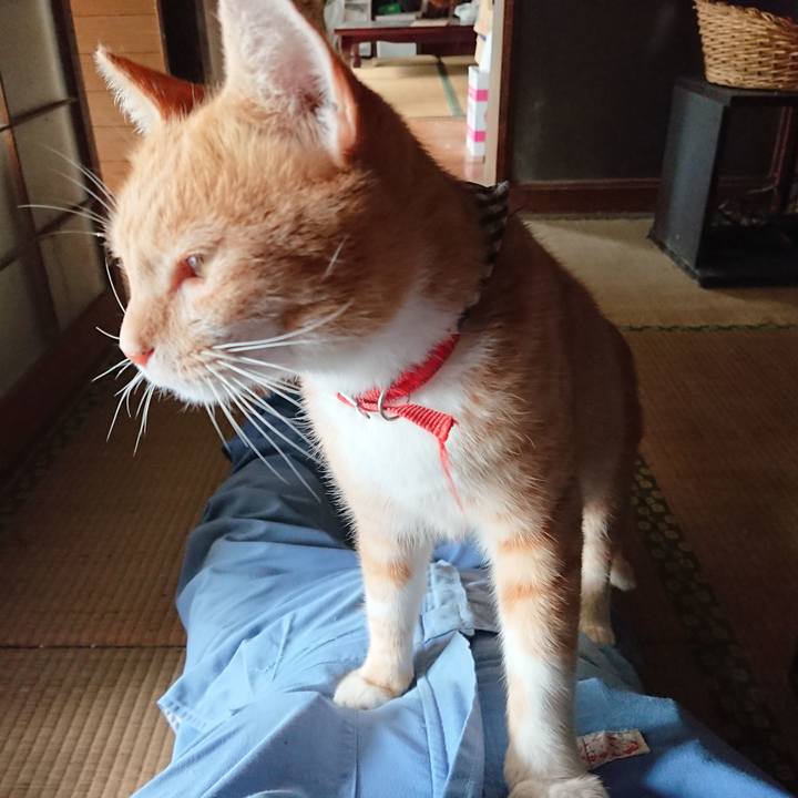 161d0112 4fa2 400a bec2 950a32337c33 1569037891428