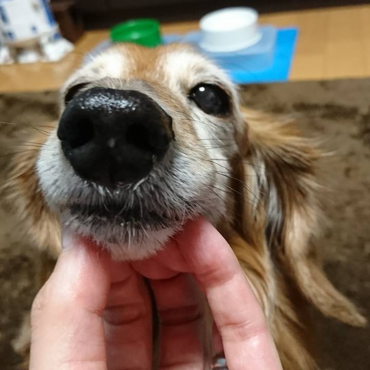 161d3dd8 e5bb 4d3d af2d 70a5928bdc1c 1515456179504