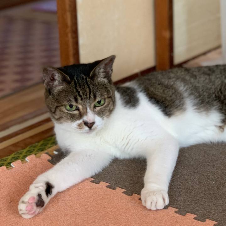 161db329 9f1e 472f 8eff 4feed0b7d7fa 1598406489932