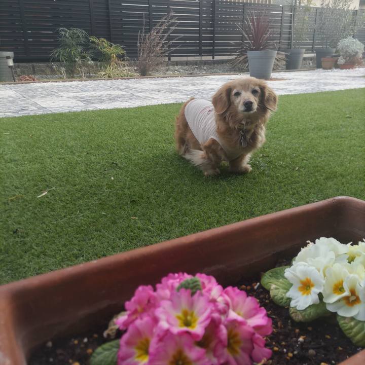 161dda76 79f5 4d20 81e9 a4c772828737 1741596737747