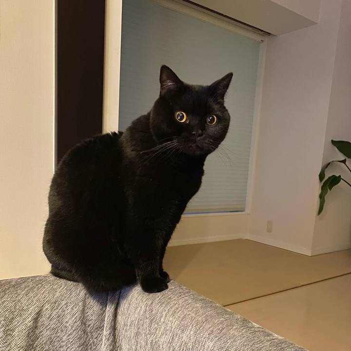 161de4e6 d1b6 4a8d b2f9 80f214236379 1734181803793