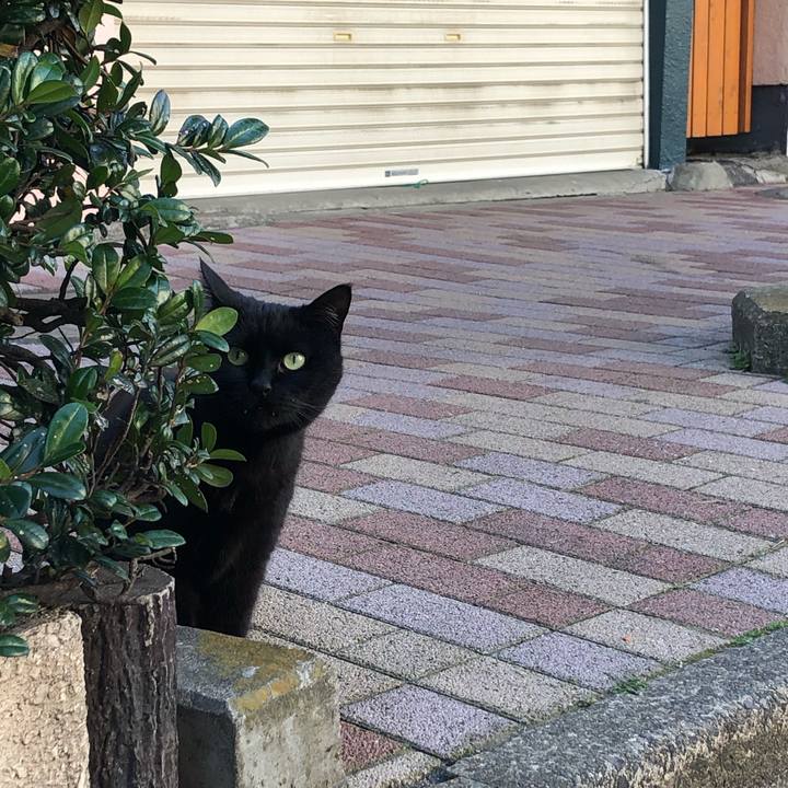 161de868 3f85 4a87 9fb6 4a2eb5f0a7cf 1583132478648