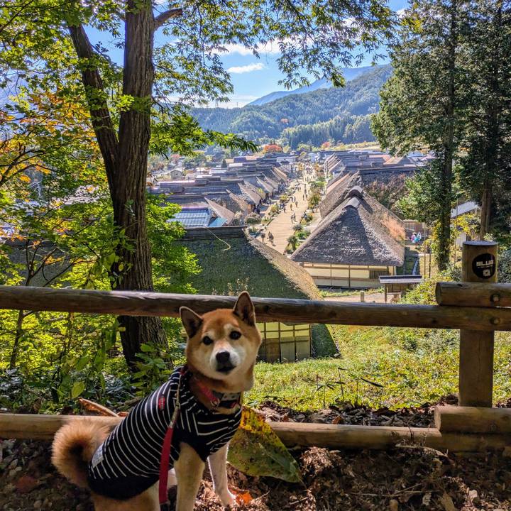 161df772 1f4f 4058 bd59 97ffa4b582b6 1730460942202