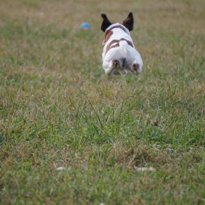 161e1969 9879 443c b173 6121853e2714 1541372095724