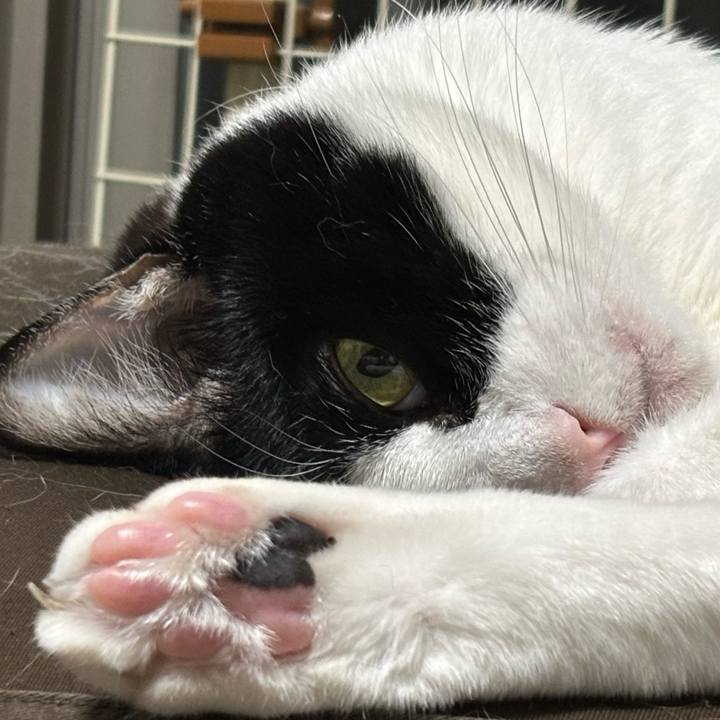 161e3a7e cb1f 4320 9973 fbc58b581be9 1768994261790