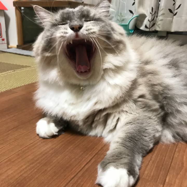 161e84cf 2e59 4fe1 8e50 878e912dee9c 1535929146219