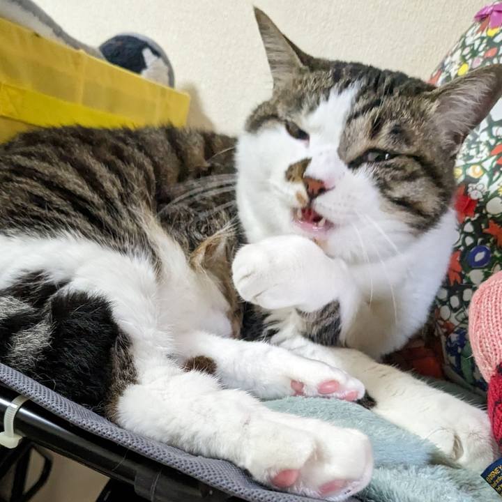 161e9f12 d405 452d 8a59 a74e8f109d68 1714533553169