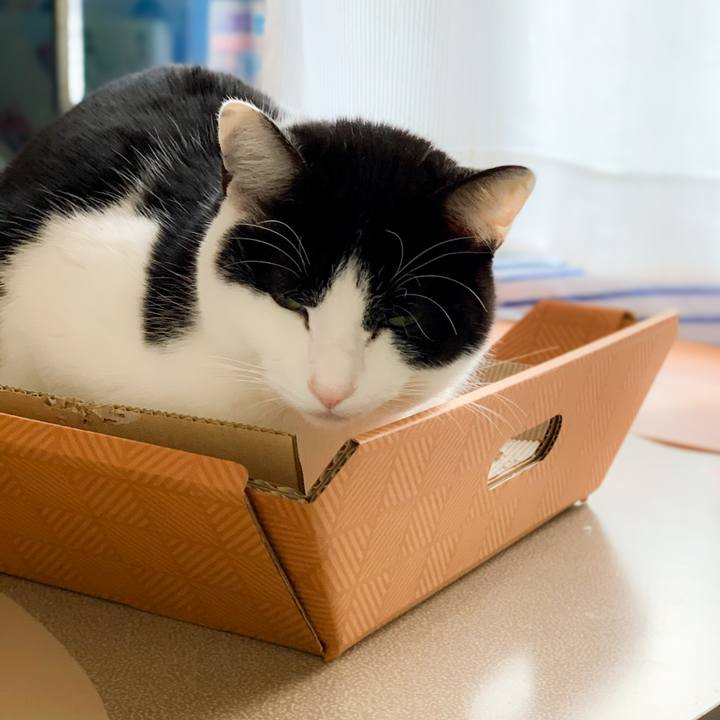 161ed2af 785c 4702 9345 9e04bd5d7bd1 1583287276417