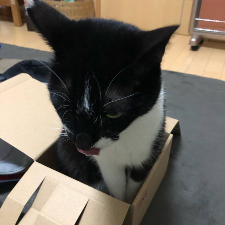 161edfbe ce68 43b6 b7b5 545c77d61dfe 1613937255443