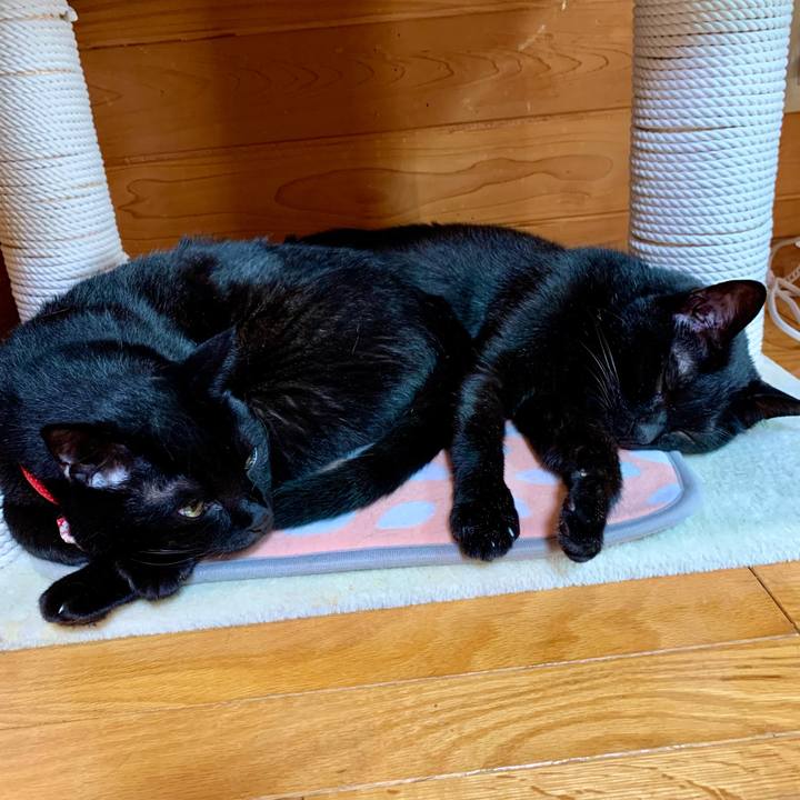 161efd55 fba3 41b6 9d9a d36c6fdd4345 1667437789389