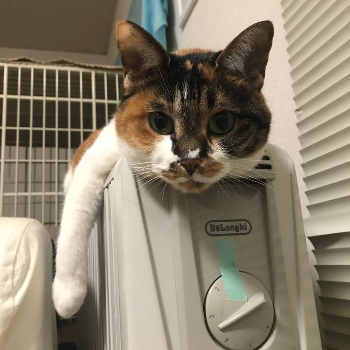 161f0917 c56b 4a86 9969 4fa3e44a3b9a 1547566587219