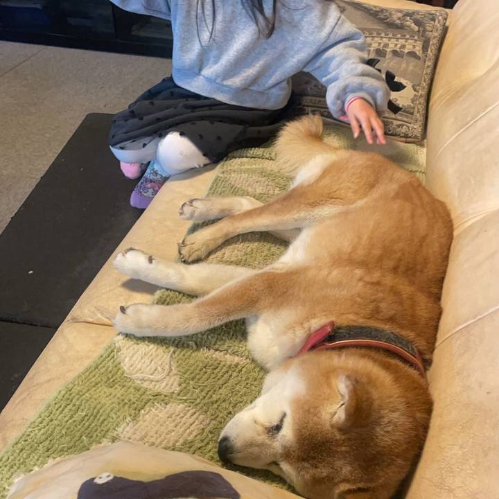 161f19d5 fed1 414d 9a39 810173de8006 1771331018189