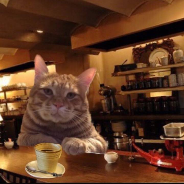 161f1c91 ae48 450f 820f 78487161211b 1550493828590