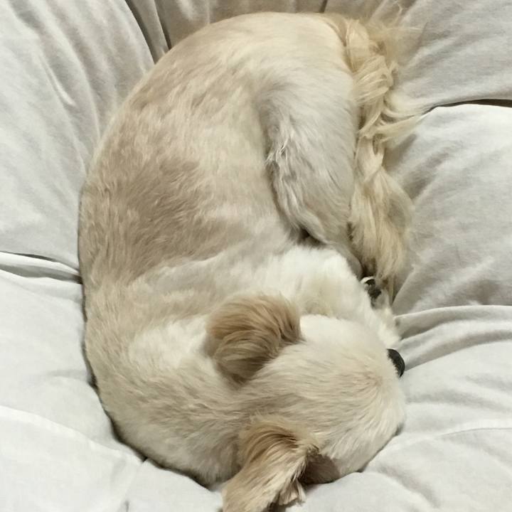 161f1ecb f90a 485f 8853 0c8db8c1e277 1511691502613