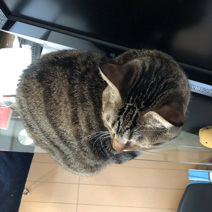 161fae04 54f2 460c ab41 cdc6242ef485 1550134345983