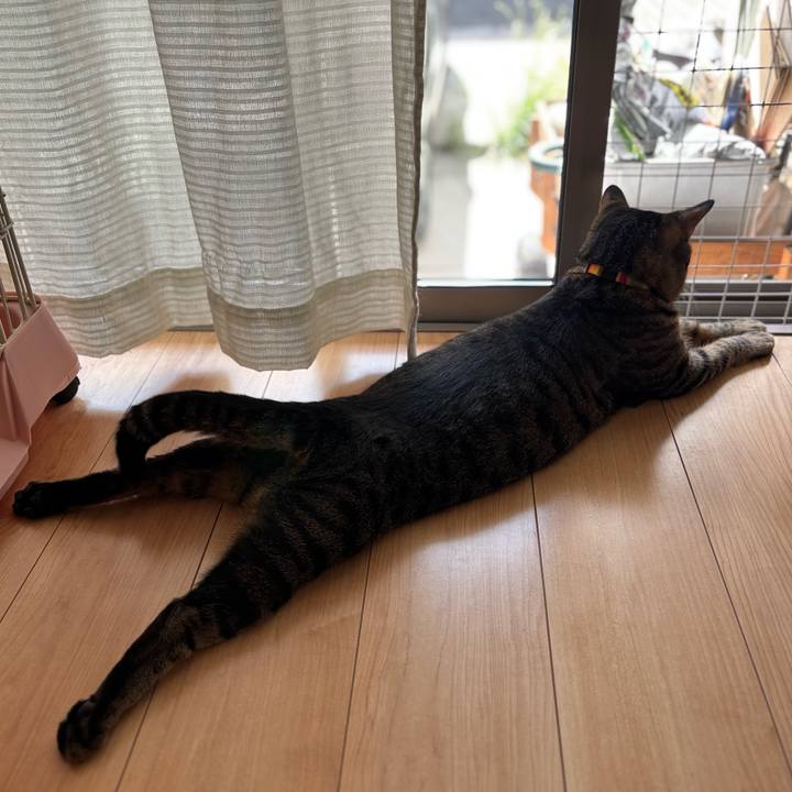 161fc117 1bf6 4393 8017 433b44385aee 1758763169728