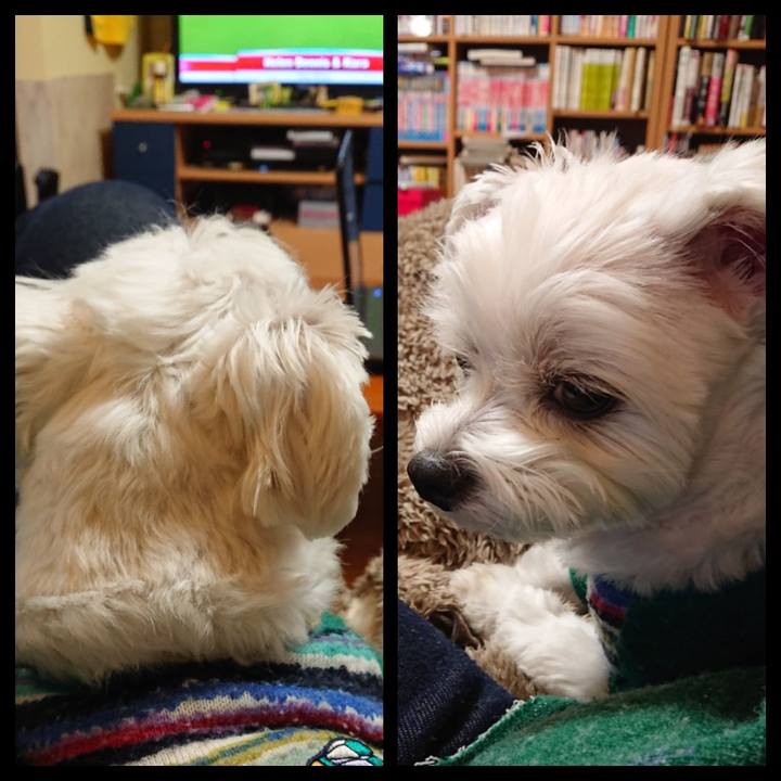 161fc1b7 20fd 4ac9 b5fd 8324af5c0f98 1539415755718