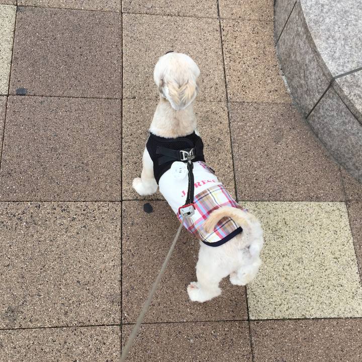 161fff97 4c48 4e52 ba3a 666bdd4c1a61 1534413604070