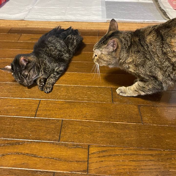 162007aa 0b43 4994 8945 d75964766a3e 1772202645217