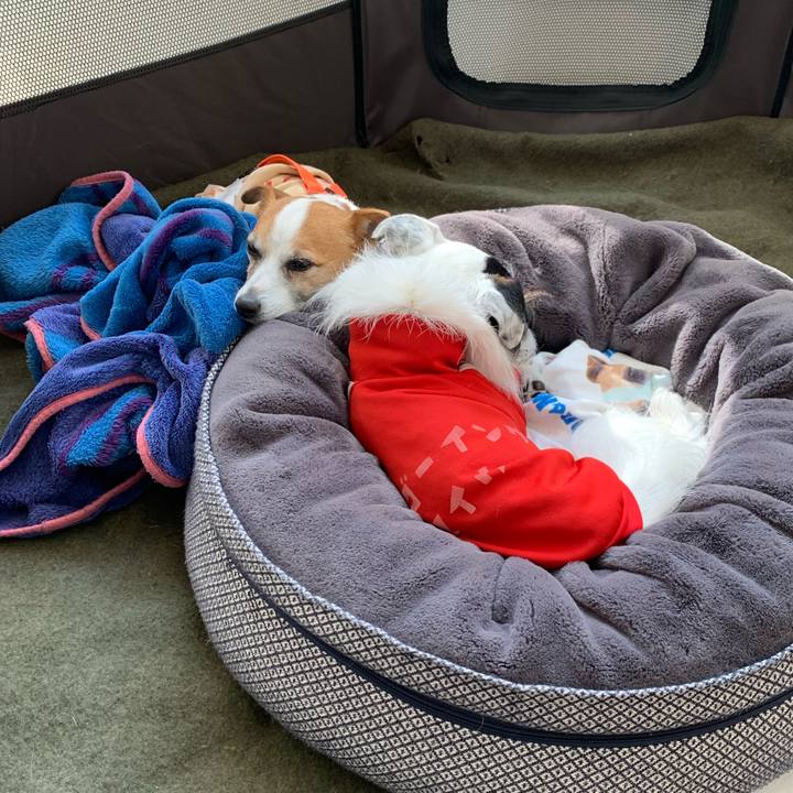 1620102d 3b48 4602 914a d0ebbb8d06aa 1644559952656