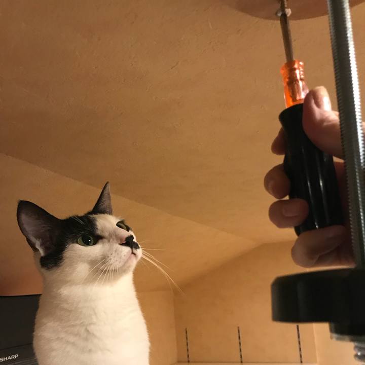 162033bd 6436 46e0 bc6f 9a6c803be323 1535284800677