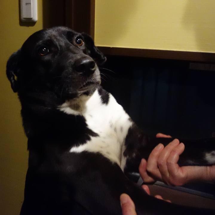 16203c39 8c7f 46aa 9b9d ffc325a8b703 1601549604385