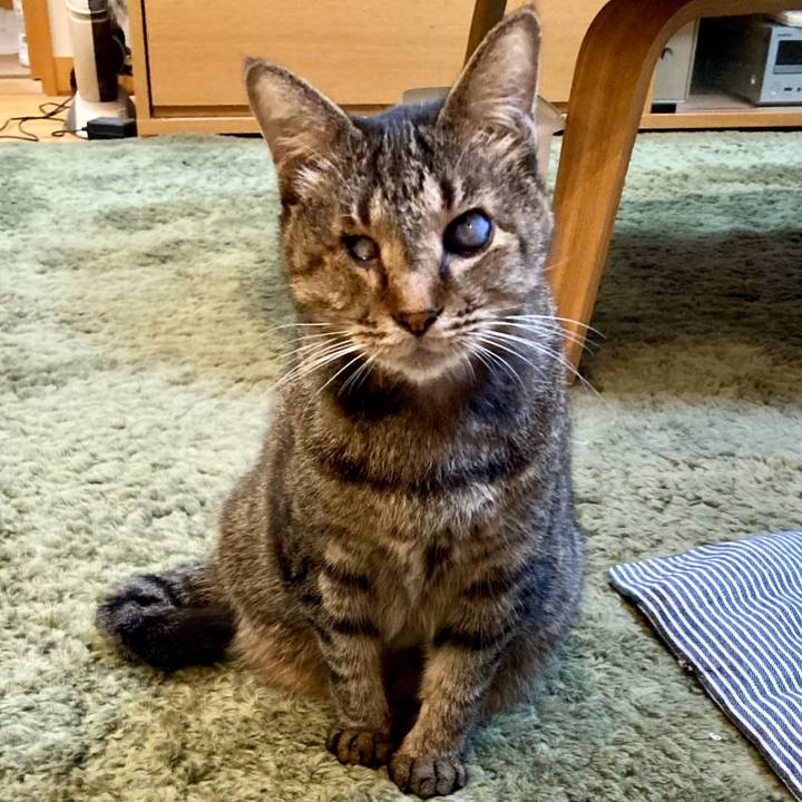 162065ac 2215 4c4e 8466 c8b01212fb96 1665046319541