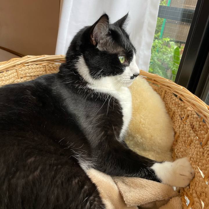 16208576 3842 4acb 803b 4749c86d72af 1657924424032