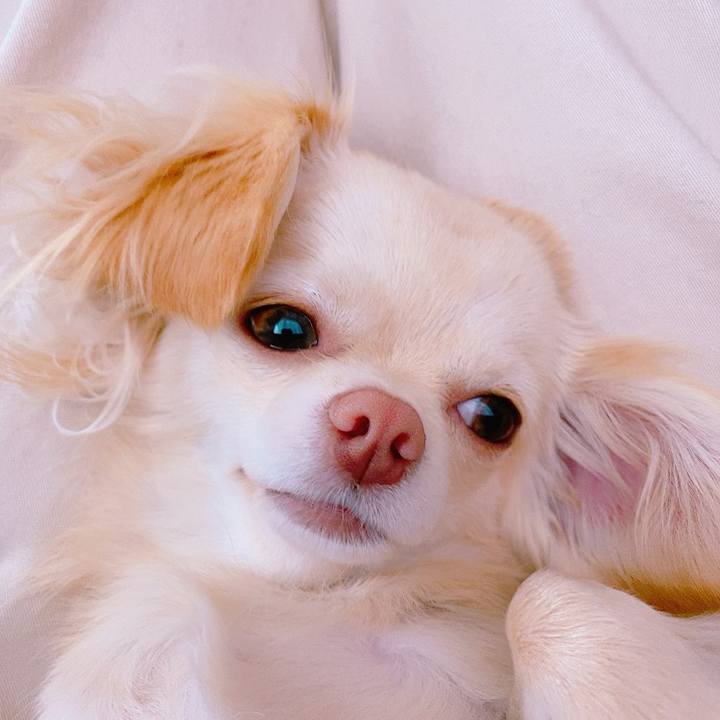 16209db1 fc18 48a3 b286 a149b2a004aa 1620459830404