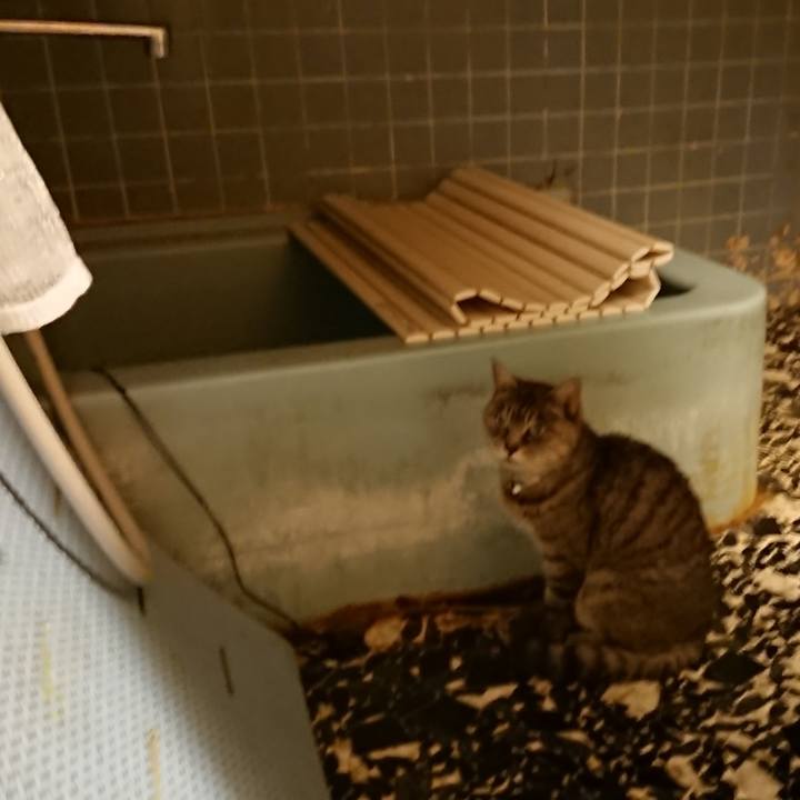 16210aa6 cce2 4fbe 8b2d fe679622aadb 1574672373278