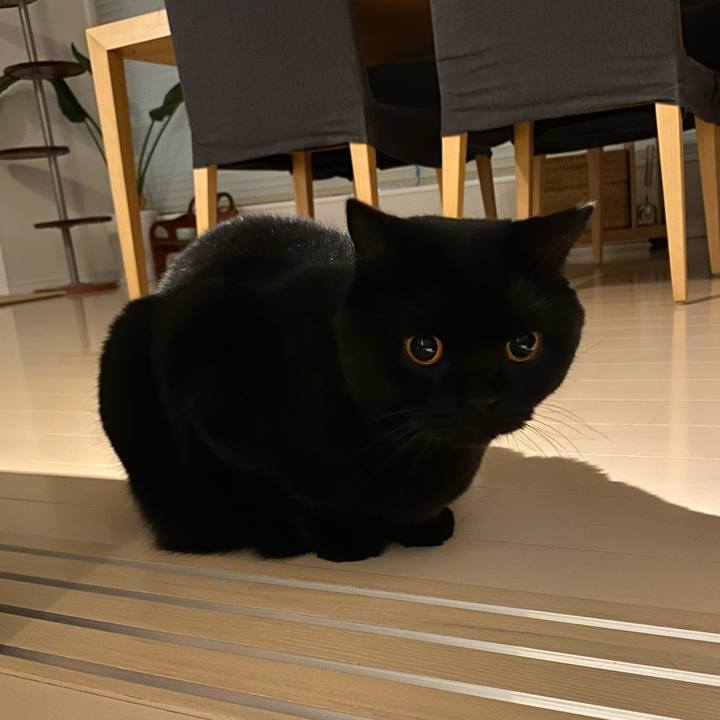 16210d49 f5ae 4dc0 b000 1d1592d5910f 1605528454775