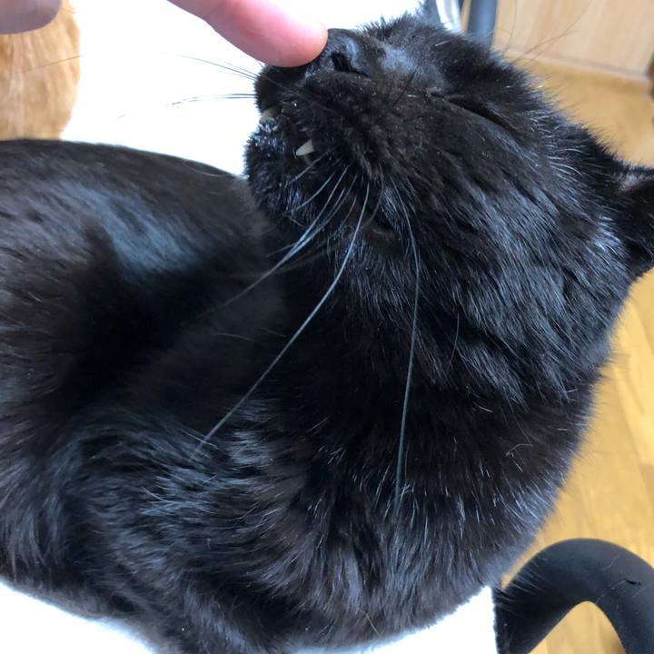 16211922 177f 421f a334 a40e1952113a 1615984025460