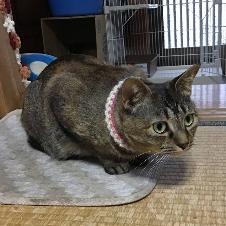 16216c6e 5255 4b5e 823b d742d3630409 1656319563259