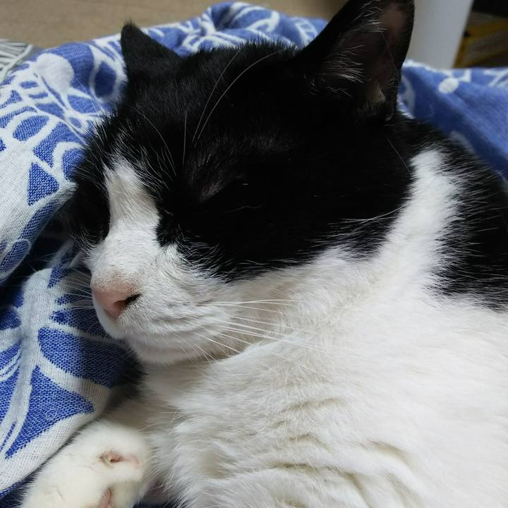 162184ce 2088 4cf6 8dff 1e51e8389c86 1527630017917