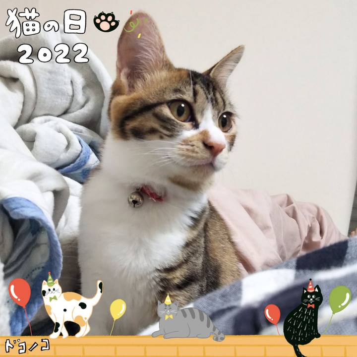 1621f6d5 a629 48f4 96c3 d0ef07511570 1645513515197