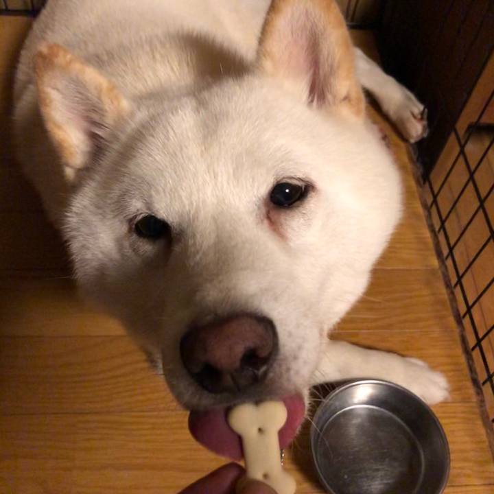 1621f797 257a 4c8b a470 788d7f1ef00d 1605102239079