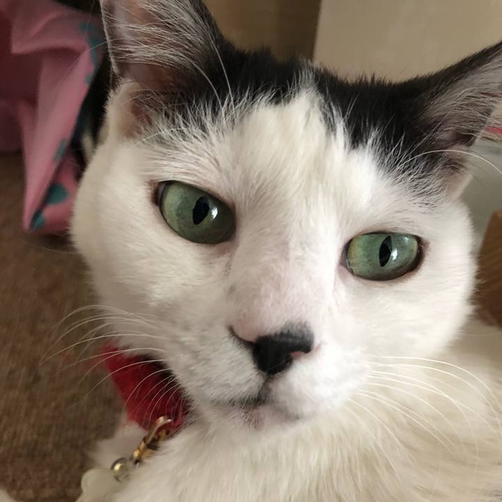 162210d7 03c8 4d44 abec e62a0b5235f2 1527204282283