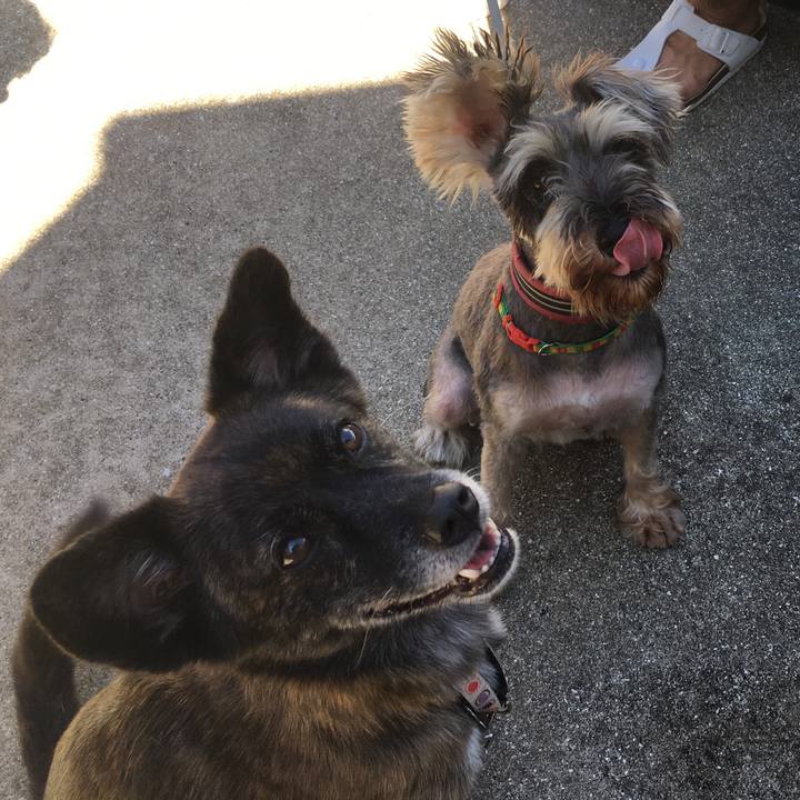 1622113c 4b7a 44ee b090 353edec900fe 1536588514661