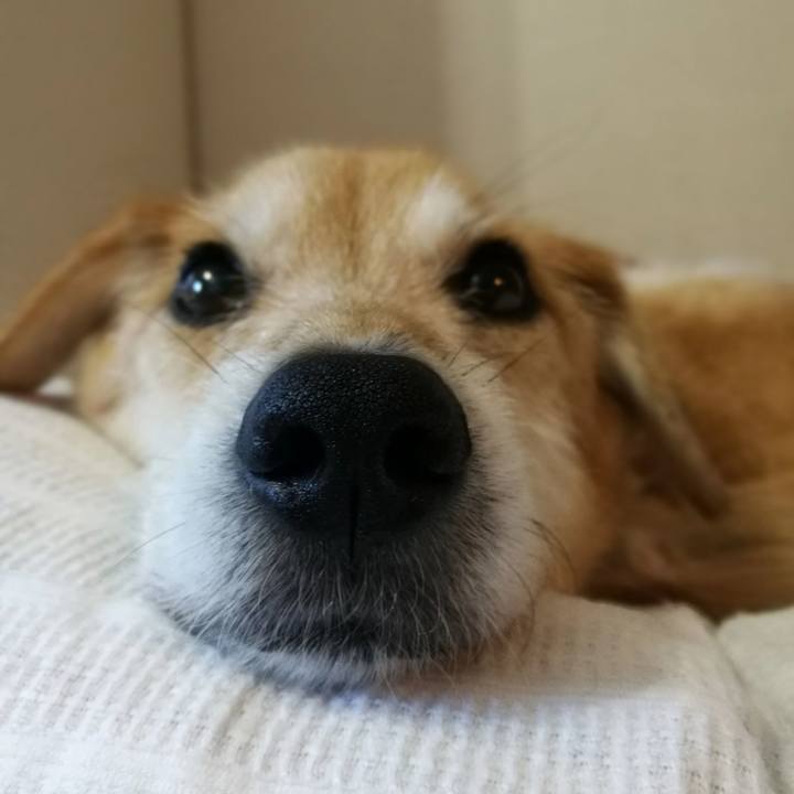 1622220f d1a7 4c55 bd0d 9d922d051d1b 1508758761768