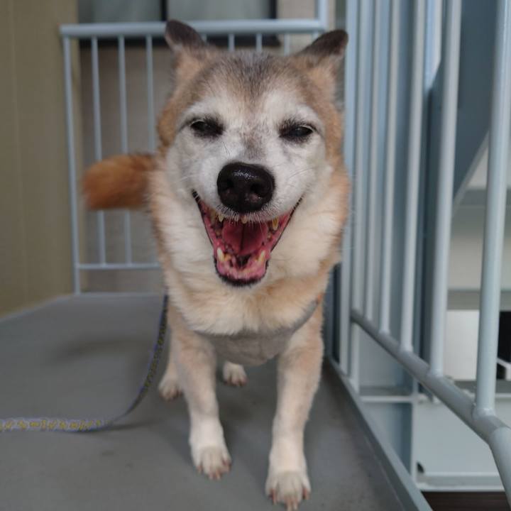 16222a85 b14c 426e 9caf 2a8401051e28 1742824696724