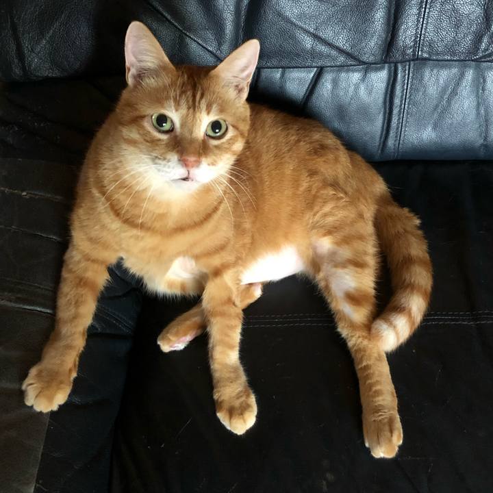 16226c98 ebcc 46b8 ac45 d524802d7239 1629843137512