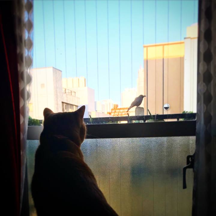 1622b17f b262 444a aac2 8d7e59d6e389 1512396219339