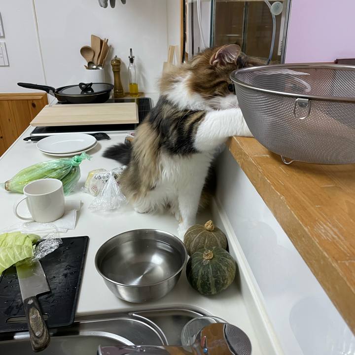 1622b824 b76d 40dc a1e3 81553e298ce7 1639259489743