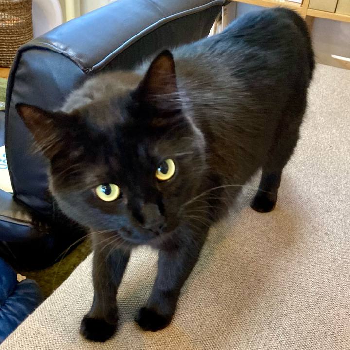 1622bffb 82a3 44d7 88c5 b27967fd54cb 1731155633471