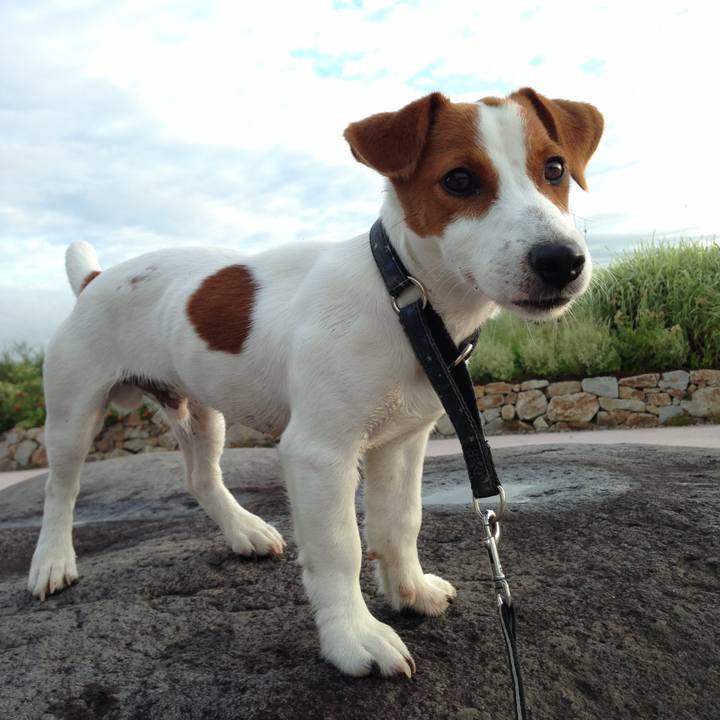 1622d981 a96a 4d9d 9c97 4475ec42348d 1625025436589