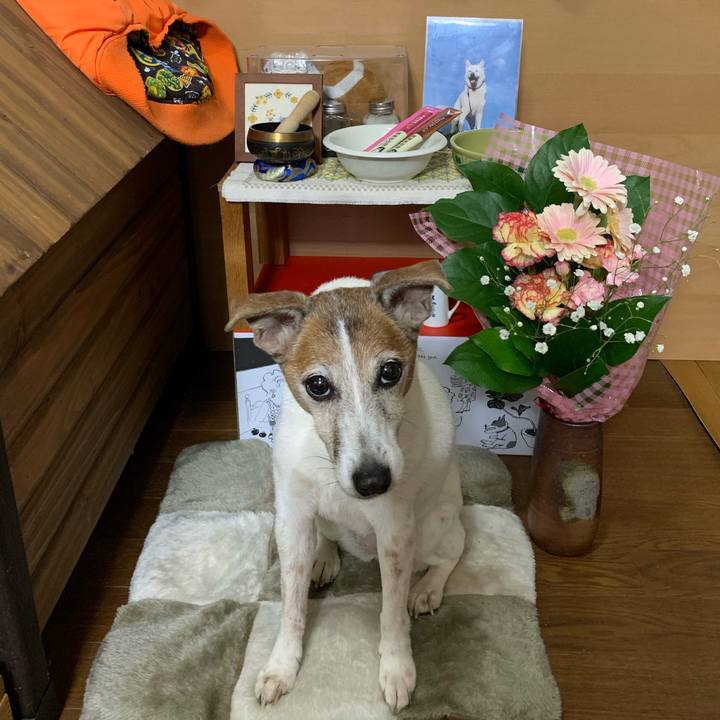 1622e9bf 9ee6 4844 93af f8d3db46b960 1616065357068